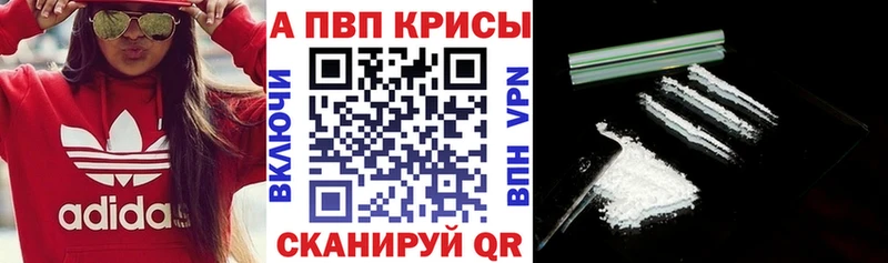 Где продают наркотики Приозерск Канабис  Меф мяу мяу  Кокаин  Амфетамин  блэк спрут зеркало  СК  Гашиш 