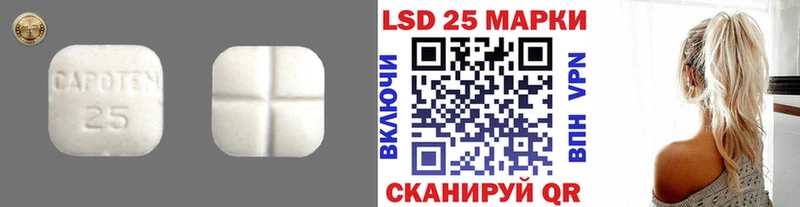 Лсд 25 экстази кислота  ОМГ ОМГ tor  Приозерск  купить  сайты 