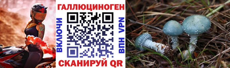 Псилоцибиновые грибы мицелий  omg как войти  Приозерск 