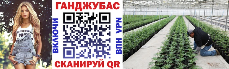 Конопля индика  где можно купить   Приозерск 
